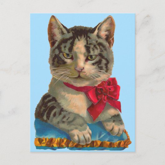 Victoriaanse tabbykat briefkaart (Voorkant)
