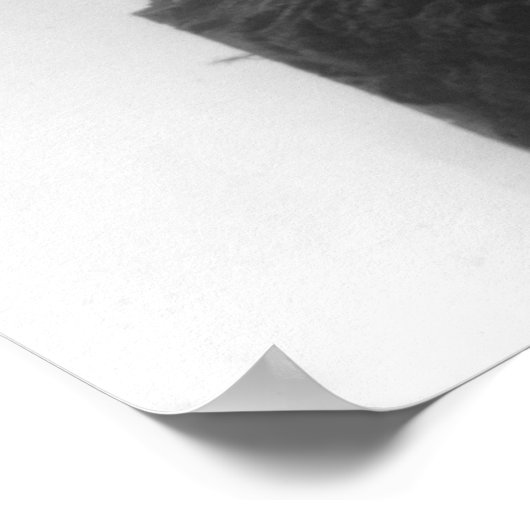 VictoriaHerfsten in Rhodesia FotoRhodesia Poster (Hoek)