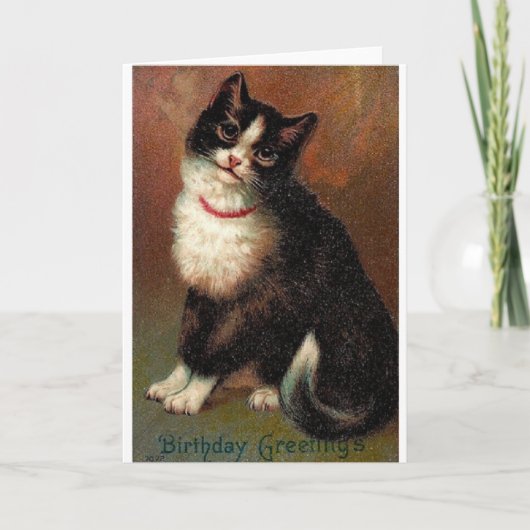 Victorian Black And White Cat Birthday Card Kaart (Voorkant)
