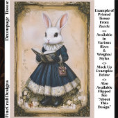 Victorian Dressed Rabbit With Book ER7L Decoupage Tissuepapier