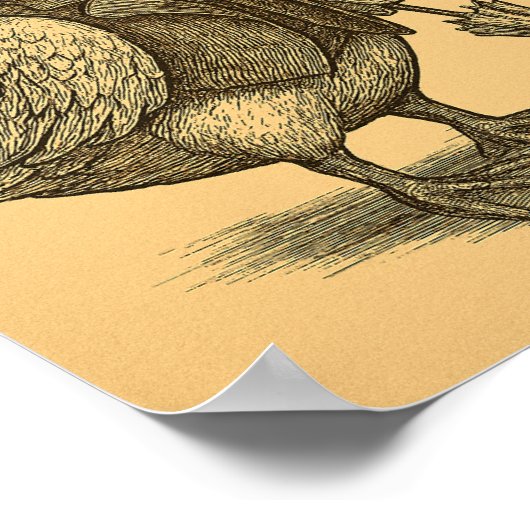 Victorian Duck with Umbrella Poster (Hoek)