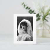 victorian lady cameo style pose postcard briefkaart (Staand voorkant)