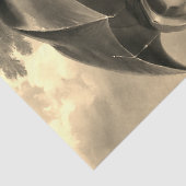 Victorian lady umbrella rainy day sepia tissuepapier (Detail)