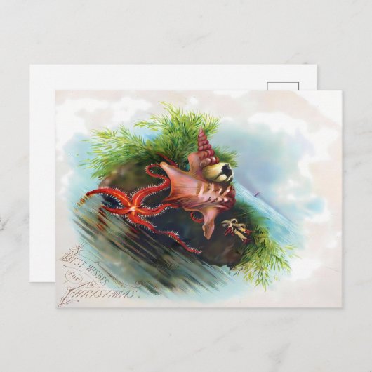 Victorian Starfish & Seashell Holiday Greetings Briefkaart (Voorkant / Achterkant)