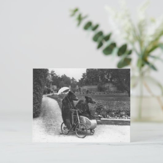 Victorian Weird Bears Riding Bicycle Briefkaart (Staand voorkant)
