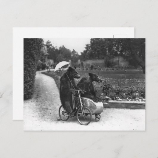 Victorian Weird Bears Riding Bicycle Briefkaart (Voorkant / Achterkant)