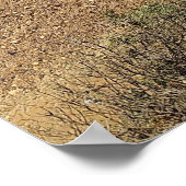 Victoria's Baai van Eilanden Kustpanorama Poster (Hoek)