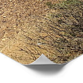 Victoria's Baai van Eilanden Kustpanorama Poster (Hoek)