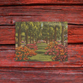 Victory Dr. Azaleas Palm Trees Savannah GA retro Briefkaart