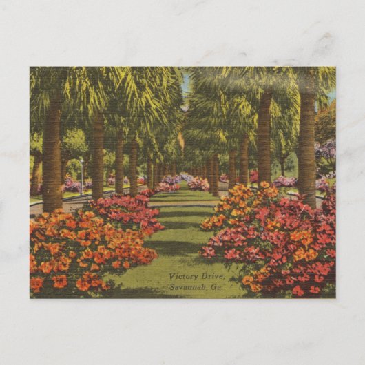 Victory Dr. Azaleas Palm Trees Savannah GA retro Briefkaart (Voorkant)