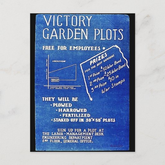 Victory Garden Plots, gratis voor werknemers Briefkaart (Voorkant)