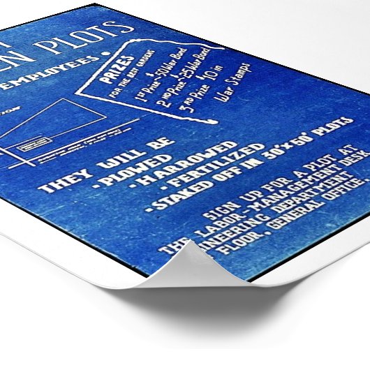 Victory Garden Plots, gratis voor werknemers Poster (Hoek)