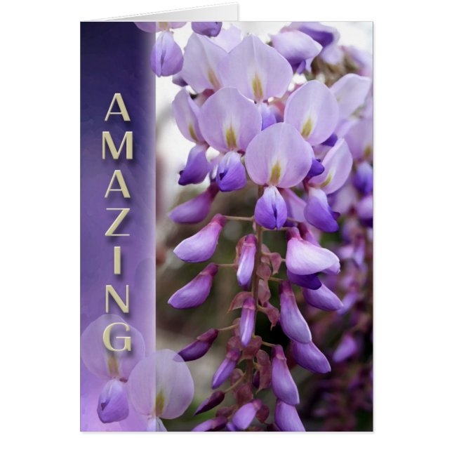 Victory Lies Ahead (Voorkant)