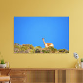 vicuña blauw canvas afdruk (Insitu (Woonkamer))