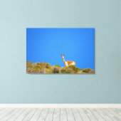 vicuña blauw canvas afdruk (Insitu (Houten vloer))