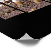 Vicuña Guanaco Lover - Travel Adventure Quote Poster (Hoek)