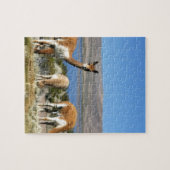 Vicuna in het nationaal park Lauca met een hoge si Legpuzzel (Horizontaal)