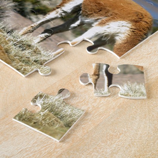 Vicuna in het nationaal park Lauca met een hoge si Legpuzzel (Zijkant)