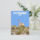 Vicuna Patagonia, Chili Briefkaart - Verticaal (Staand voorkant)