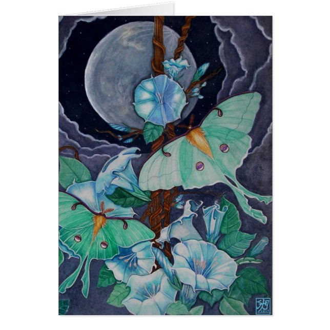 Vida de la Luna (Voorkant)