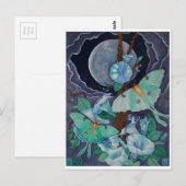 Vida de la Luna Briefkaart (Voorkant / Achterkant)