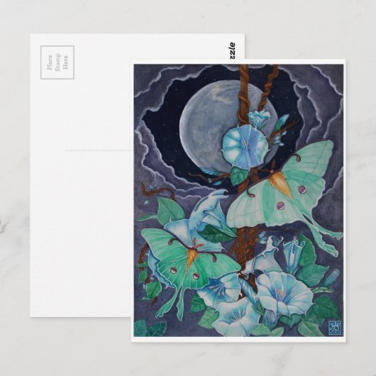 Vida de la Luna Briefkaart (Voorkant / Achterkant)