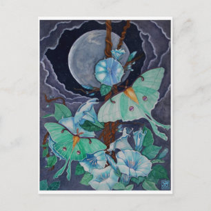 Vida de la Luna Briefkaart