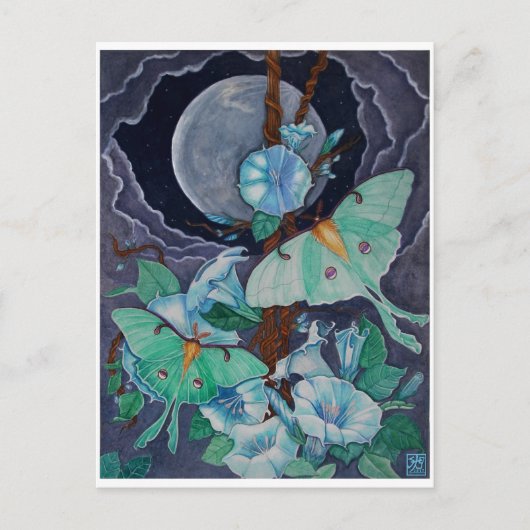 Vida de la Luna Briefkaart (Voorkant)