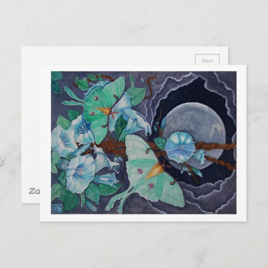 Vida de la Luna Briefkaart (Voorkant / Achterkant)