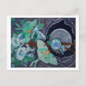 Vida de la Luna Briefkaart (Voorkant)