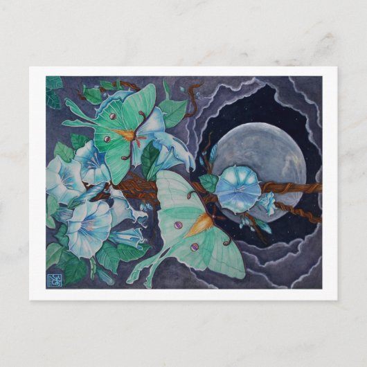 Vida de la Luna Briefkaart (Voorkant)