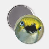 Videomagneet met witte ogen magneet (Voorkant / Achterkant)