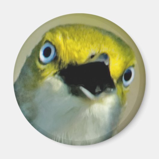 Videomagneet met witte ogen magneet (Voorkant)