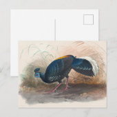 Vieillot's vuurvaste fazant van Joseph Wolf Briefkaart (Voorkant / Achterkant)