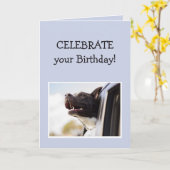 Viel je geboorte-feest-feest-fun die een Happy Dog Kaart (Gele Bloem)