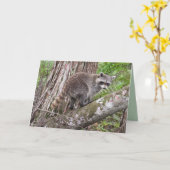 Viel je verjaardag als een Raccoon Kaart (Gele Bloem)