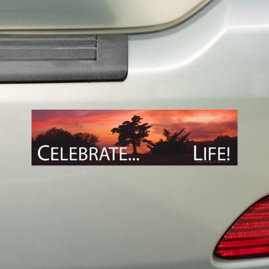 Viel... Leven Bumpersticker (Op auto)