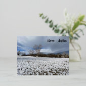 Viena - Áustria Folie Feestdagen Briefkaart (Staand Voorkant)