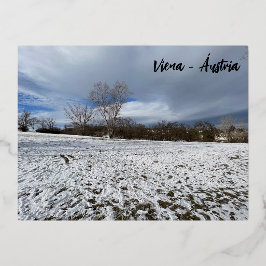Viena - Áustria Folie Feestdagen Briefkaart