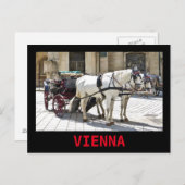 Vienna Fiaker met Witte Paarden - Briefkaart (Voorkant / Achterkant)