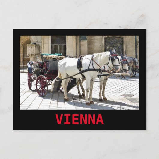 Vienna Fiaker met Witte Paarden - Briefkaart (Voorkant)