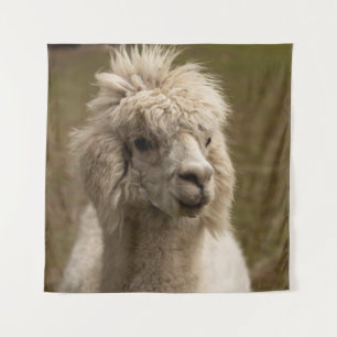 VIENNA WIEN ÖSTERREICH AUSTRIA ALPAKA LAMA ANIMAL WANDKLEED