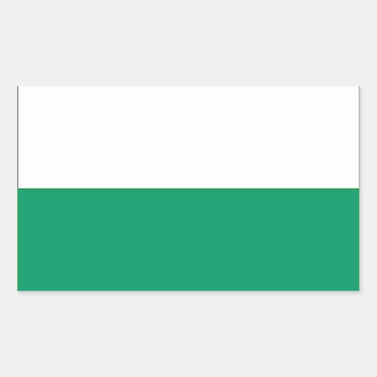 VIER Aalten Flag Rechthoekige Sticker (Voorkant)