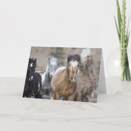 Vier Adobe's - Galoping naar het Wenskaart van de  Kaart