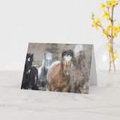 Vier Adobe's - Galoping naar het Wenskaart van de  Kaart (Gele Bloem)