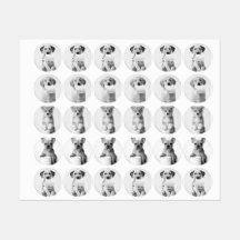 Vier Adorable Puppies met Toiletpapier in Esthetis
