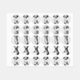 Vier Adorable Puppies met Toiletpapier in Esthetis Labels
