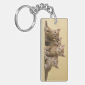 Vier Amerikaanse Shorthair Kittens Sleutelhanger (Voorkant Links)