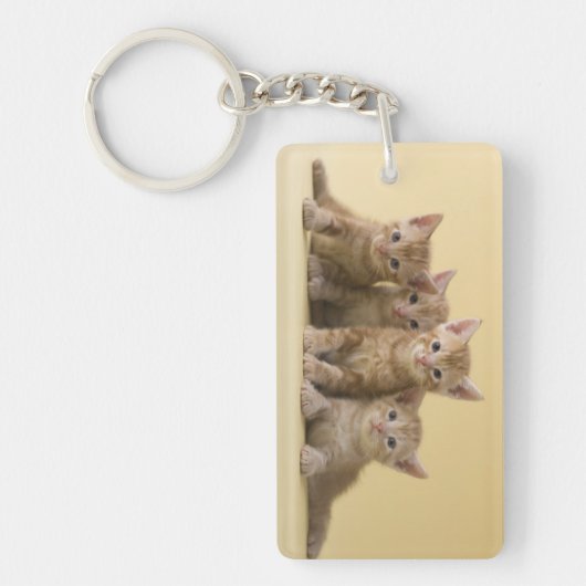 Vier Amerikaanse Shorthair Kittens Sleutelhanger (Voorkant)