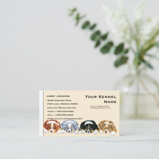 Vier Australische Puppies van Shepherd Visitekaartje (Staand voorkant)